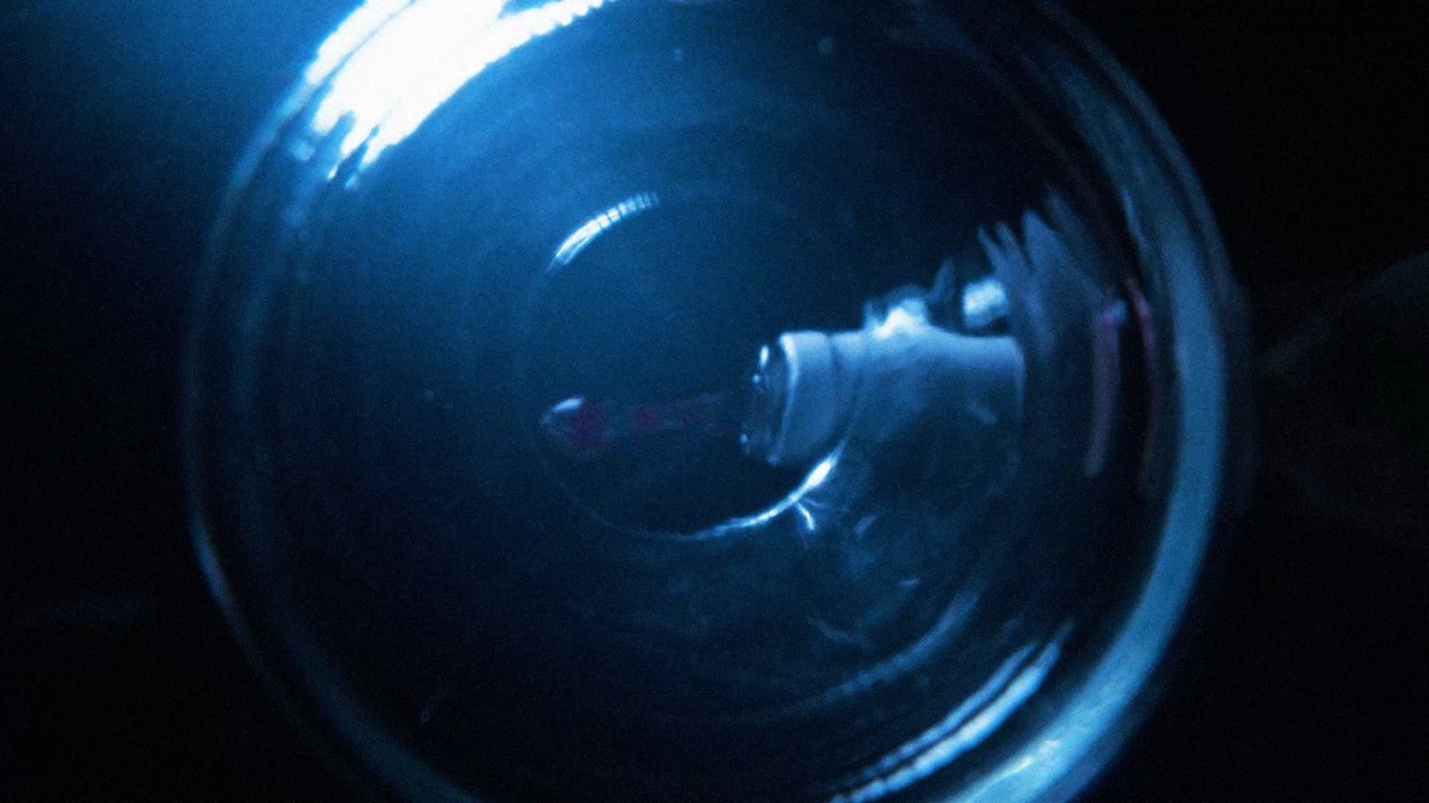 Vinya del Drac — fotograma 2